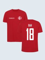 Dänemark Nationalmannschaft, T-Shirt, Bah 18